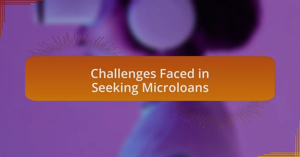 Challenges Faced in Seeking Microloans