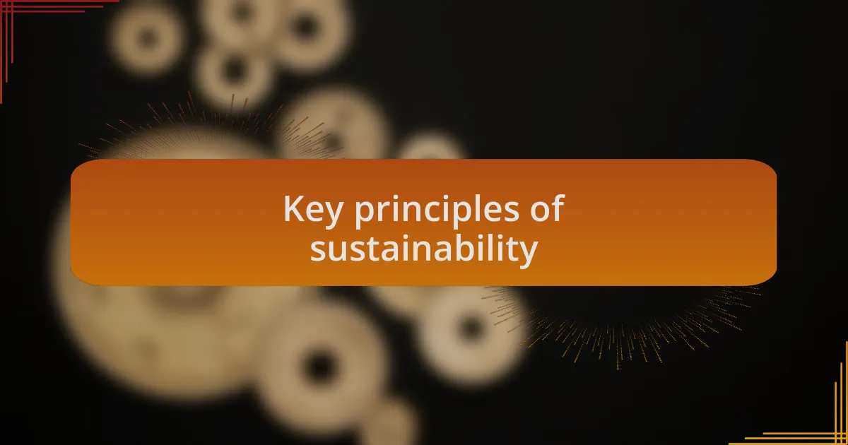 Key principles of sustainability